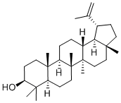 Structure of Lupeol