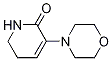 Structure of 3-Morpholino-5,6-dihydropyridin-2(1H)-one