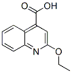 Structure of 2-Ethoxy cinchoninic acid