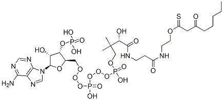 Structure of 3-Oxooctanoyl-CoA