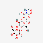 Structure of P1 Antigen