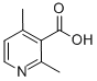 Structure of 2,4-DIMETHYL-3-PYRIDINECARBOXYLIC ACID
