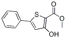 Structure of 3-Hydroxy-5-phenyl-2-thiophenecarboxylic acid methyl ester