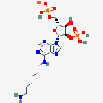 Structure of n6-(6-aminohexyl)adenosine 2',5'-diphosphate lithium salt