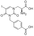 Structure of (AS)-ALPHA-AMINO-3-[(4-CARBOXYPHENYL)METHYL]-3,4-DIHYDRO-5-IODO-2,4-DIOXO-1(2H)-PYRIMIDINEPROPANOIC ACID