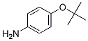 Structure of 4-(tert-Butoxy)aniline