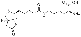 Structure of Biocytin