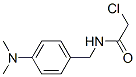 Structure of 2-CHLORO-N-[4-(DIMETHYLAMINO)BENZYL]ACETAMIDE