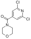 Structure of 4-(2,6-Dichloroisonicotinoyl)morpholine
