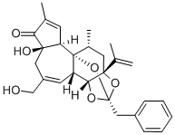 Structure of RESINIFERONOL 9,13,14-ORTHO-PHENYLACETATE