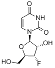 Structure of 1-(3-Deoxy-3-fluoro-.beta.-D-ribofuranosyl)uracil