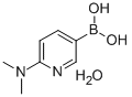 Structure of 2-(Dimethylamino)pyridine-5-boronic acid hydrate