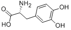 Chemical structure of D-DOPA