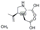 Structure of KAINIC ACID 2-CARBOXY-3-CARBOXYMETHYL-4-ISOPROPENYLPYRROLIDINE
