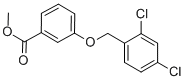 Structure of METHYL 3-[(2,4-DICHLOROBENZYL)OXY]BENZENECARBOXYLATE
