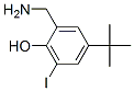 Structure of 2-aminomethyl-4-t-butyl-6-iodophenol