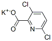 Structure of potassium 3,6-dichloropyridine-2-carboxylate