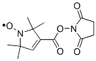 Structure of succinimidyl-2,2,5,5-tetramethyl-3-pyrroline-1-oxyl-3-carboxylate