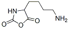 4-(4-aminobutyl)oxazolidine-2,5-dione结构式