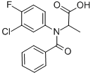 Structure of FLAMPROP