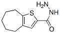 Structure of 4H-CYCLOHEPTA[B]THIOPHENE-2-CARBOXYLIC ACID 5,6,7,8-TETRAHYDRO-,HYDRAZIDE