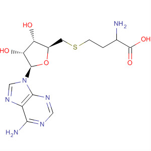 Structure of S-Adenosyl-DL-homocysteine