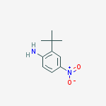Structure of 2-tert-butyl-4-nitrobenzenamine
