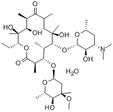 Structure of ERYTHROMYCIN A  DIHYDRATE