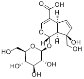 Structure of Monotropein