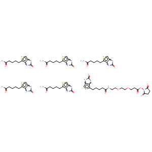 Structure of 9-biotinlaMino-4,7-dioxanonanoic acid N-hydroxysucciniMidyl ester