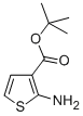 Structure of 2-AMINOTHIOPHENE-3-CARBOXYLIC ACID T-BUTYL ESTER