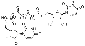 Structure of [[(2R,3R,4R,5R)-5-(2,4-dioxopyrimidin-1-yl)-3,4-dihydroxy-oxolan-2-yl]methoxy-hydroxy-phosphoryl]oxy-[[[(2R,3R,4R,5R)-5-(2,4-dioxopyrimidin-1-yl)-3,4-dihydroxy-oxolan-2-yl]methoxy-hydroxy-phosphoryl]oxy-hydroxy-phosphoryl]oxy-phosphinic acid