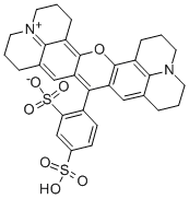 Structure of SULFORHODAMINE 101