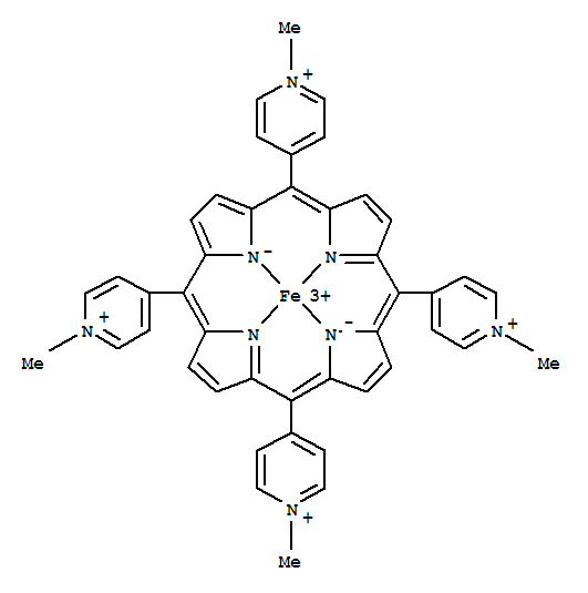 Structure of tetrakis(N-methyl-4-pyridinium)yl-porphine iron(III) complex