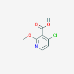 Structure of 4-chloro-2-Methoxy-pyridine-3-carboxylic acid
