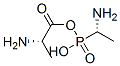 Structure of (S)-ALANYL-(R)-1-AMINOETHYLPHOSPHONIC ACID