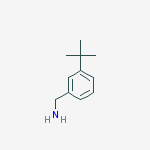 Structure of 3-tert-butylbenzylamine