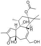 Structure of 12-DEOXYPHORBOL 13-ACETATE