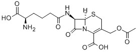 Structure of 7-(5-amino-5-carboxyvaleramido)cephalosporanic acid