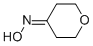 Structure of TETRAHYDRO-PYRAN-4-ONE OXIME