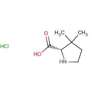Structure of Proline, 3,3-dimethyl-, hydrochloride