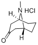 Structure of PSEUDOPELLETIERINE HYDROCHLORIDE