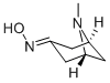 Structure of (+/-)-Pseudopelletierine oxime