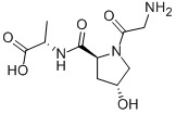 Structure of H-GLY-HYP-ALA-OH