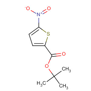 Structure of 2-Thiophenecarboxylic acid, 5-nitro-, 1,1-dimethylethyl ester