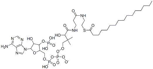 Structure of [5-(6-aminopurin-9-yl)-4-hydroxy-3-phosphonooxyoxolan-2-yl]methyl [[4-[[3-(2-hexadecanoylsulfanylethylamino)-3-oxopropyl]amino]-3-hydroxy-2,2-dimethyl-4-oxobutoxy]-oxidophosphoryl] phosphate