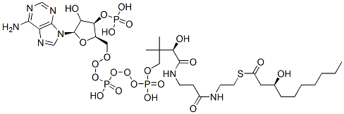 S-[2-[3-[[(2R)-4-[[[(2R,3R,5R)-5-(6-aminopurin-9-yl)-4-hydroxy-3-phosphonooxyoxolan-2-yl]methoxy-hydroxyphosphoryl]oxy-hydroxyphosphoryl]oxy-2-hydroxy-3,3-dimethylbutanoyl]amino]propanoylamino]ethyl] (3S)-3-hydroxydecanethioate结构式
