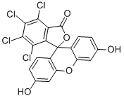 Structure of 3,4,5,6-TETRACHLOROFLUORESCEIN