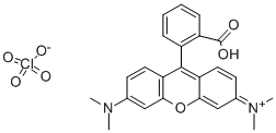 Structure of 9-(2-CARBOXYPHENYL)-3,6-BIS(DIMETHYLAMINO)XANTHYLIUM PERCHLORATE