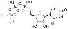 Chemical structure of 5'-URIDYLATE TRIPHOSPHATE